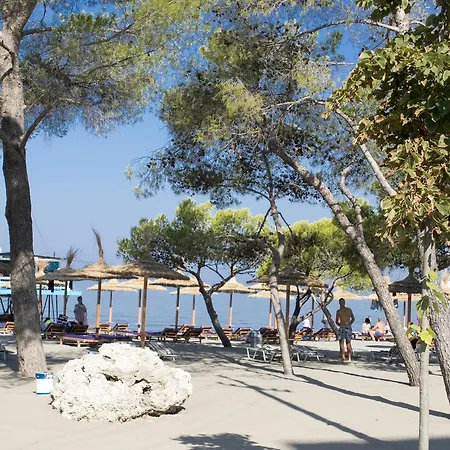 Holiday Luxury